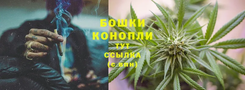 Канабис OG Kush  мега ссылка  Ивангород  где найти  